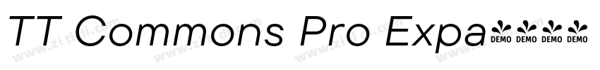 TT Commons Pro Expa字体转换